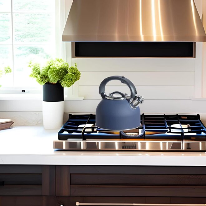 Oggi Stainless Steel Whistling Tea Kettle (Blue)