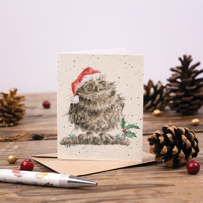 'Christmas Owl' Enclosure Card