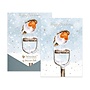A Little Red Robin Robin Christmas Card Pack