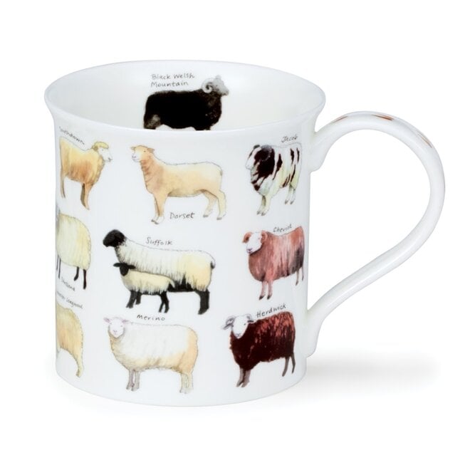Bute Animal Breeds Sheep Mug