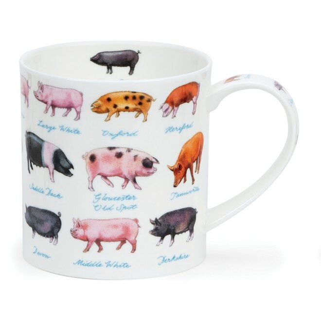 Orkney On The Farm Pigs Mug