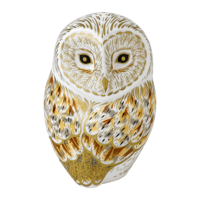 Winter Owl