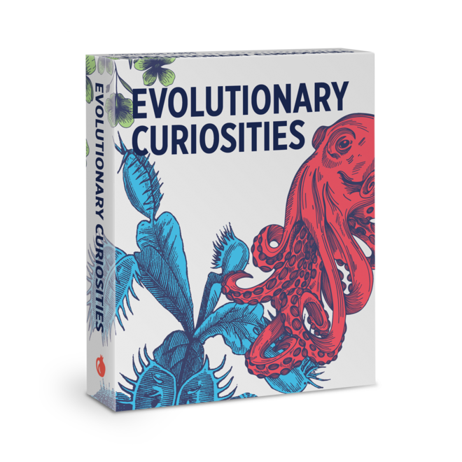 Evolutionary Curiosities Knowledge Cards