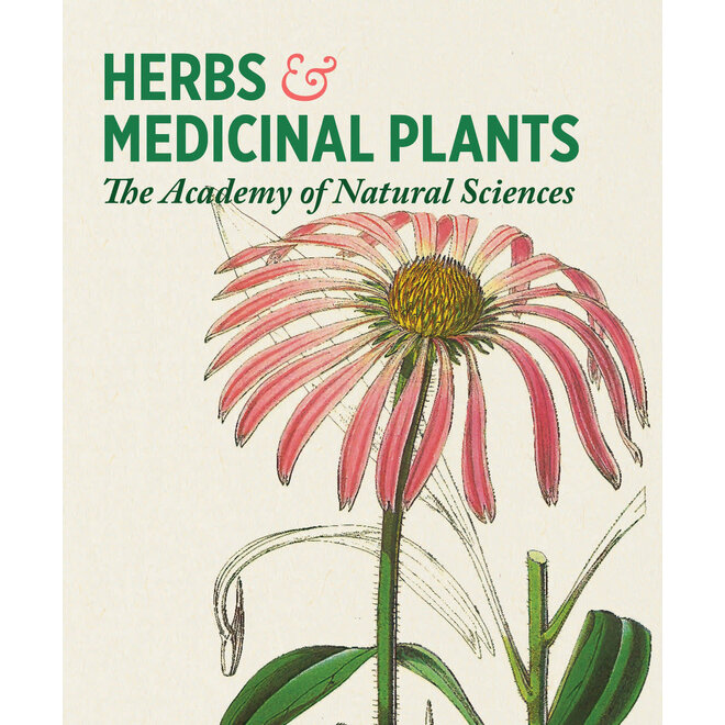 Herbs & Medicinal Plants Knowledge Cards