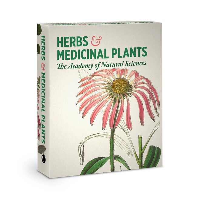 Herbs & Medicinal Plants Knowledge Cards