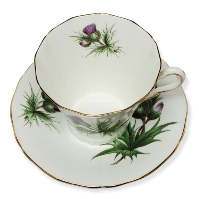 Adderley Ceramics Thistle Cup & Saucer with Gold Trim