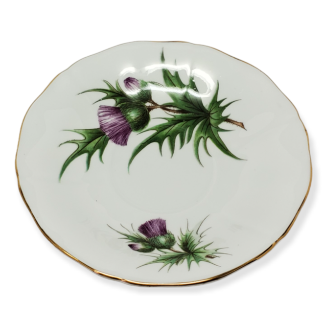 Adderley Ceramics Thistle Cup & Saucer with Gold Trim