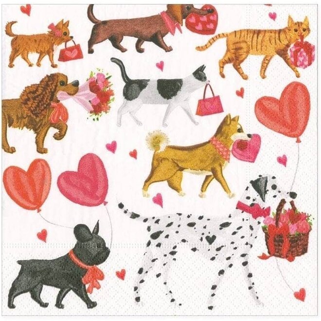 Valentine Parade Paper Cocktail Napkins