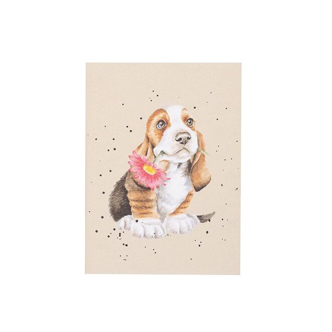 'Just for You'  Basset Hound Small Notebook