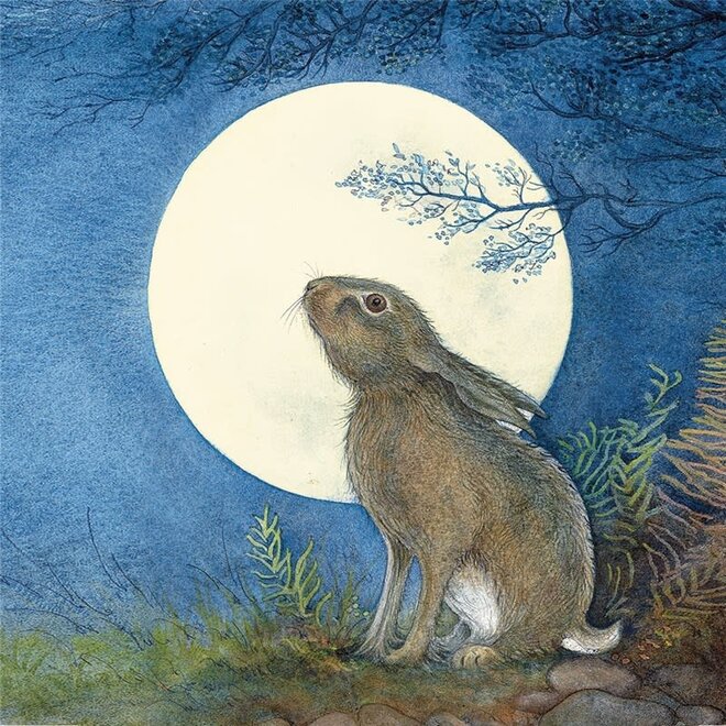 Spellbound Hare Greeting Card