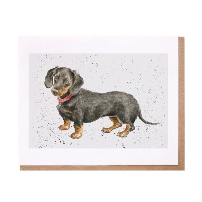 Hugo Dachshund Greeting Card