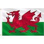 Wales Large Flag
