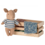 Pig, Baby in Box (Boy)