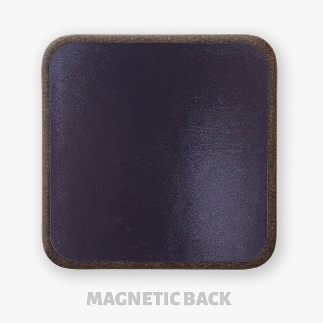 Rainbow Guard Magnetic Coaster