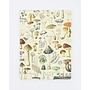 Woodland Mushrooms Softcover Notebook (Dot Grid)