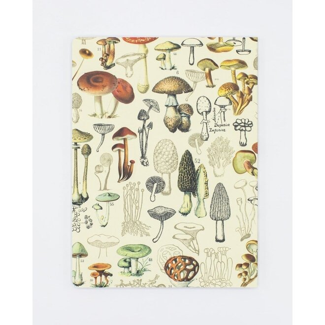Woodland Mushrooms Softcover Notebook (Dot Grid)
