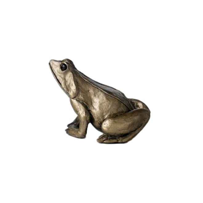 Frog Sculpture