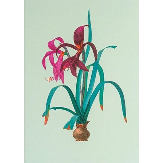 Iris Greeting Card