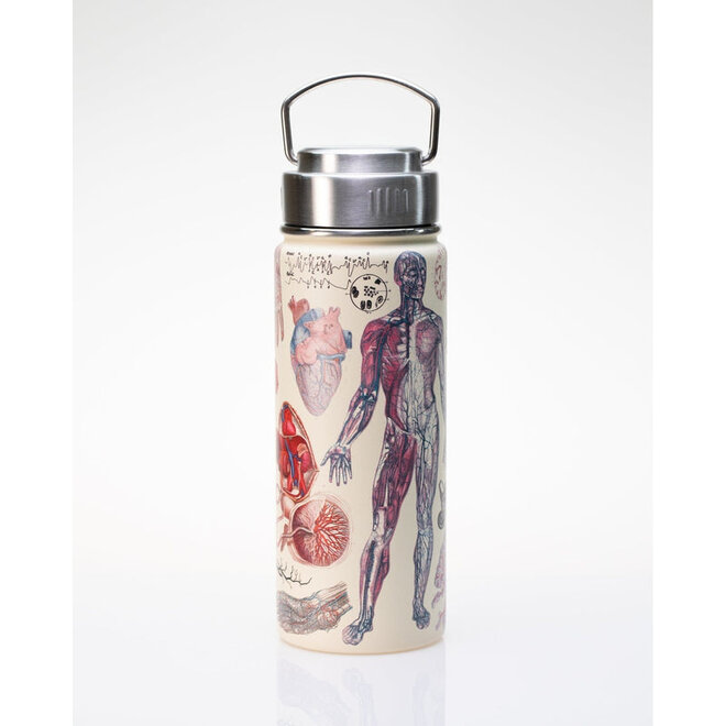 Human Anatomy Stainless Steel Vacuum Flask