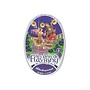 Flavigny Blackcurrant Tin