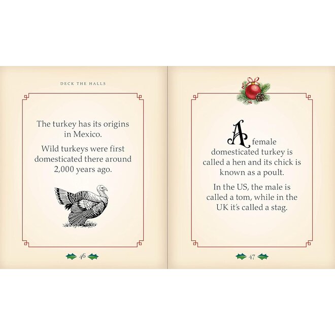 A Little Book For Christmas: A Collection of Glad Tidings & Festive Cheer