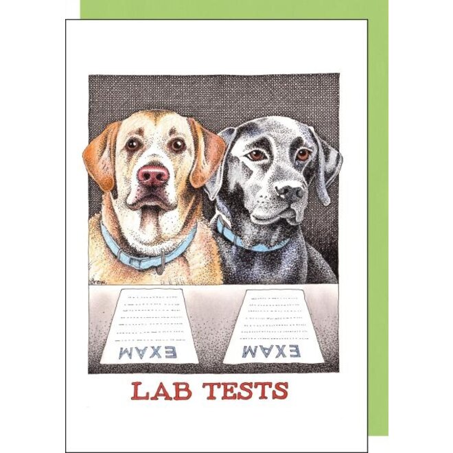 Lab Tests Greeting Card