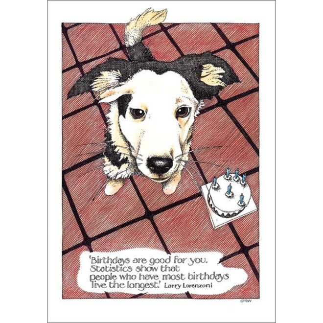 Statistics Dog Birthday Card