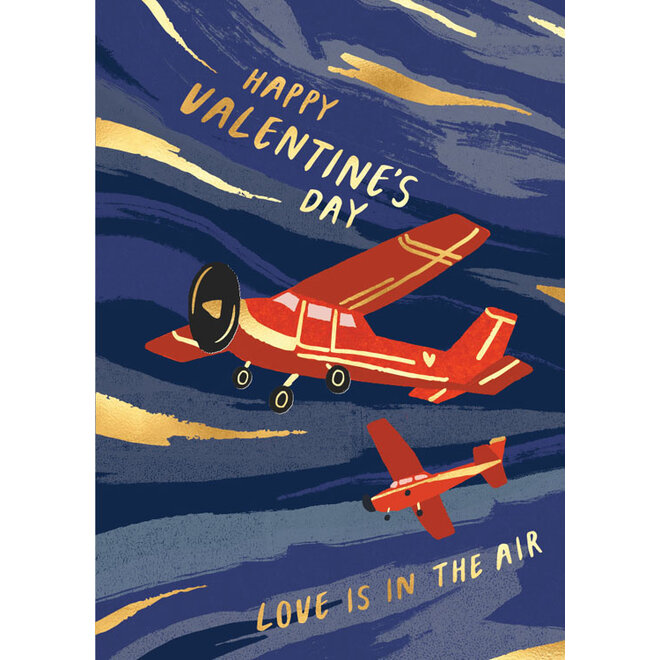 Love Airplane Valentine Card