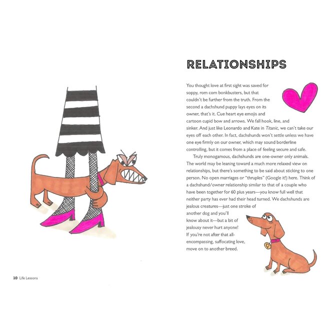 Life Lessons from a Dachshund