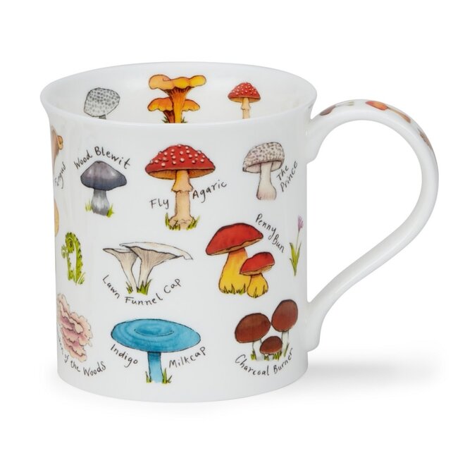 Bute Mushrooms & Toadstools Re Mug