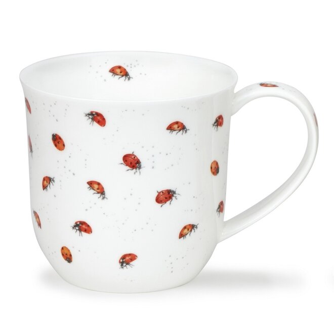 Cumbrae Ladybirds Mug