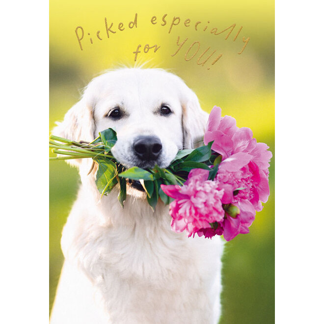 Dog with Flower Bouquet Birthday Card