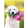 Dog with Flower Bouquet Birthday Card