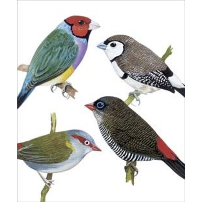 Australian Finches Greeting Card