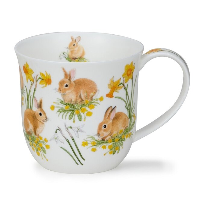 Cumbrae Bunnies Mug