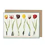 Tulip Parade Greeting Card