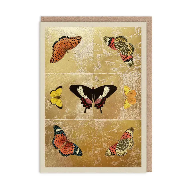 Butterfly Symmetry Card