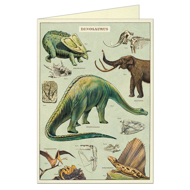 Dinosaurs Card