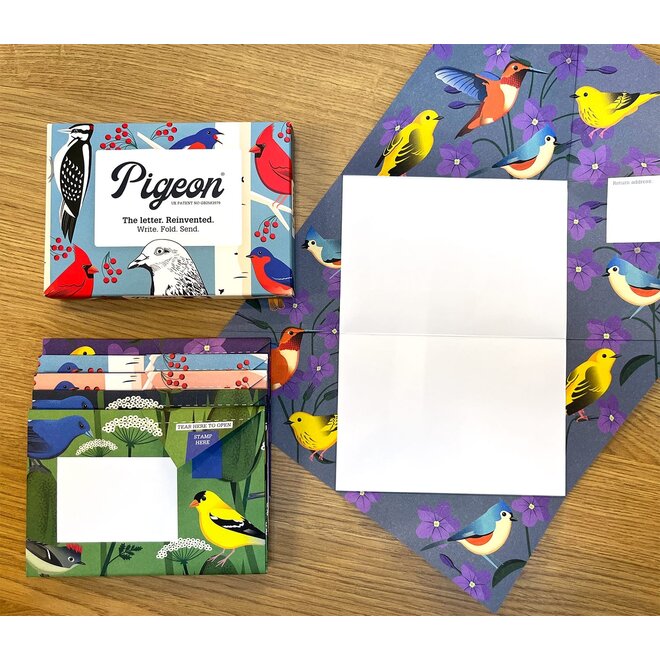 Pigeon Posted Carnival of Colour Pigeons Stationery Pack