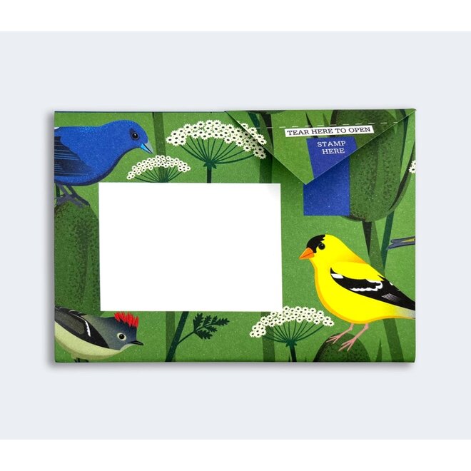 Pigeon Posted Carnival of Colour Pigeons Stationery Pack
