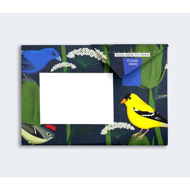 Pigeon Posted Carnival of Colour Pigeons Stationery Pack