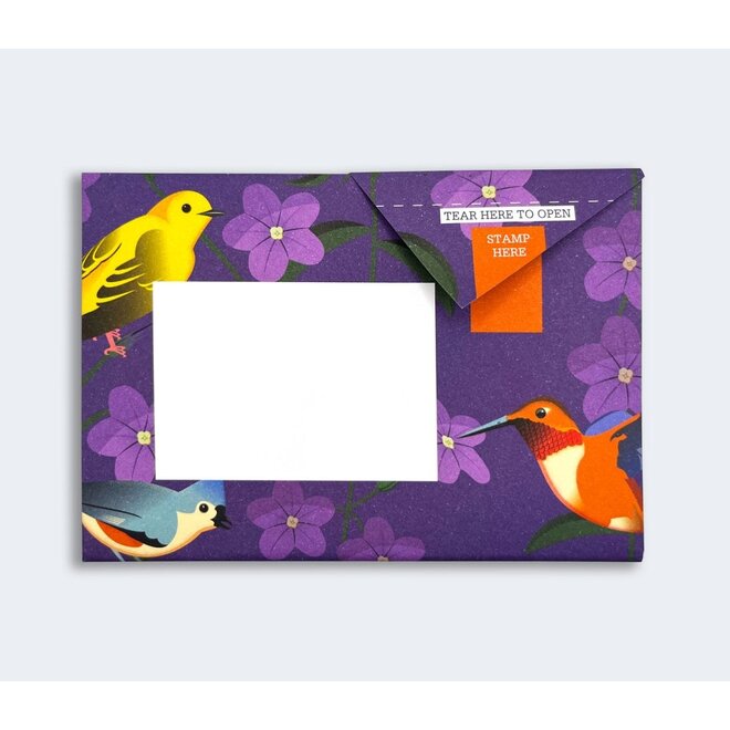 Pigeon Posted Carnival of Colour Pigeons Stationery Pack