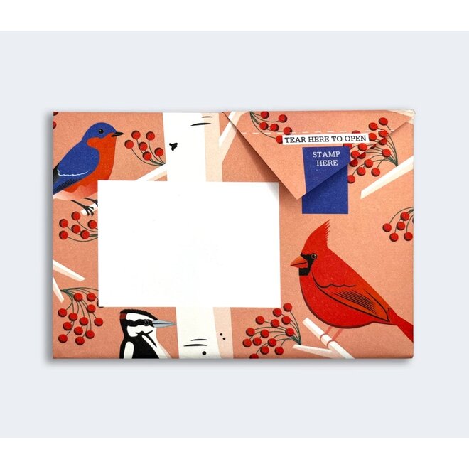 Pigeon Posted Carnival of Colour Pigeons Stationery Pack