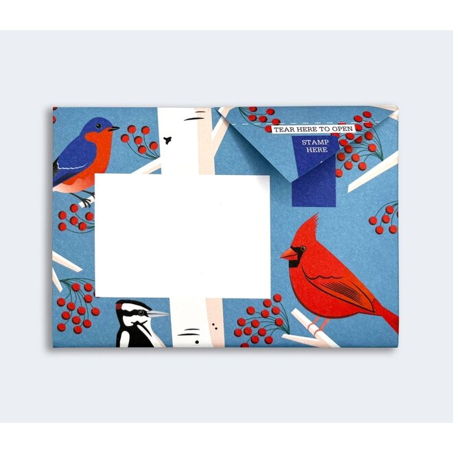 Pigeon Posted Carnival of Colour Pigeons Stationery Pack