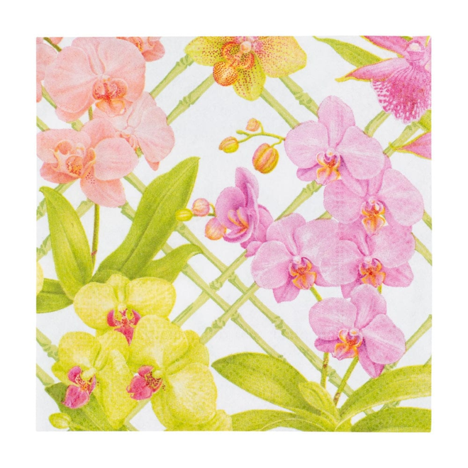 Orchid Conservatory Paper Cocktail Napkins