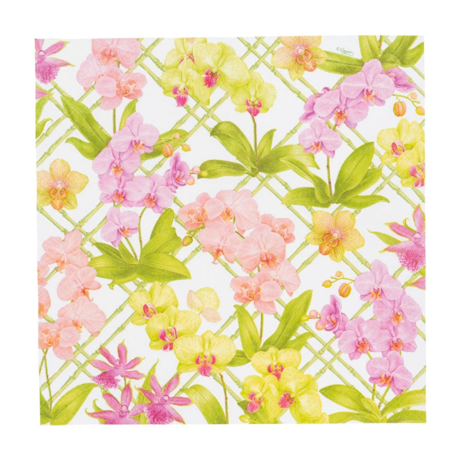 Orchid Conservatory Paper Cocktail Napkins