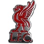 Liverpool Badge Pin