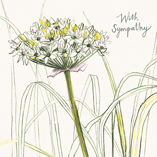 Spring Allium Sympathy Card