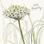 Spring Allium Sympathy Card