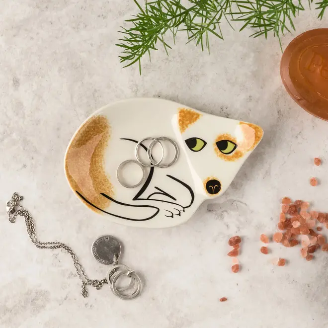 Scruffy Brown & White Dog Trinket Dish